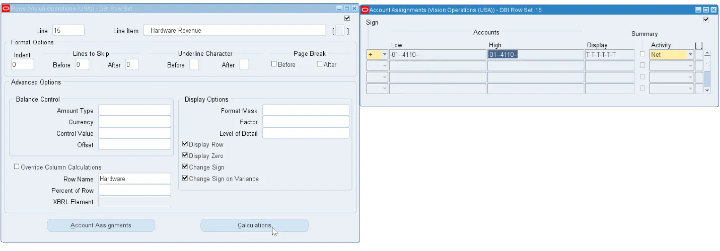 Blitz FSG row set information sheet listing the Oracle FSG rows converted into the template