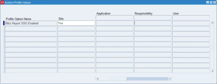 Blitz Report SSO Enabled profile option set to Yes in Oracle EBS System Administrator