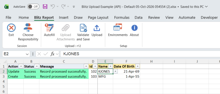 Result report showing the updated record 102 and the created record 103 with status Success and message Record processed successfully