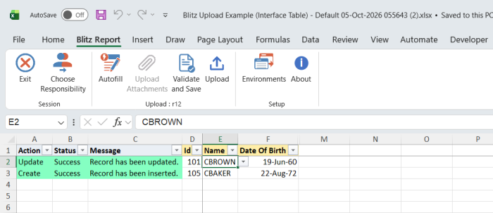 Result report showing record 101 with message Record has been updated and record 105 with message Record has been inserted, both with status Success
