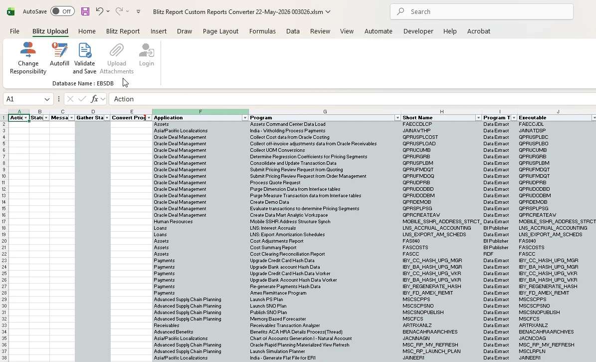 Custom Reports Converter downloaded template