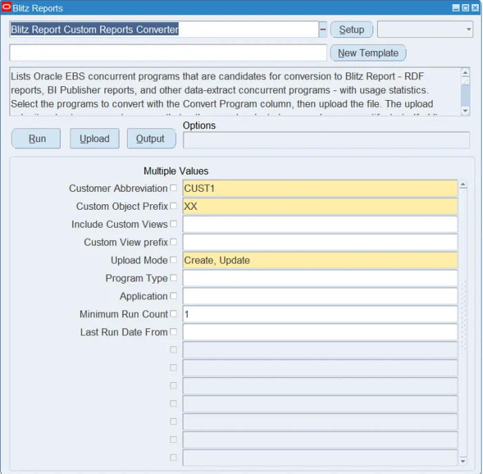 Custom Reports Converter parameters on the run screen