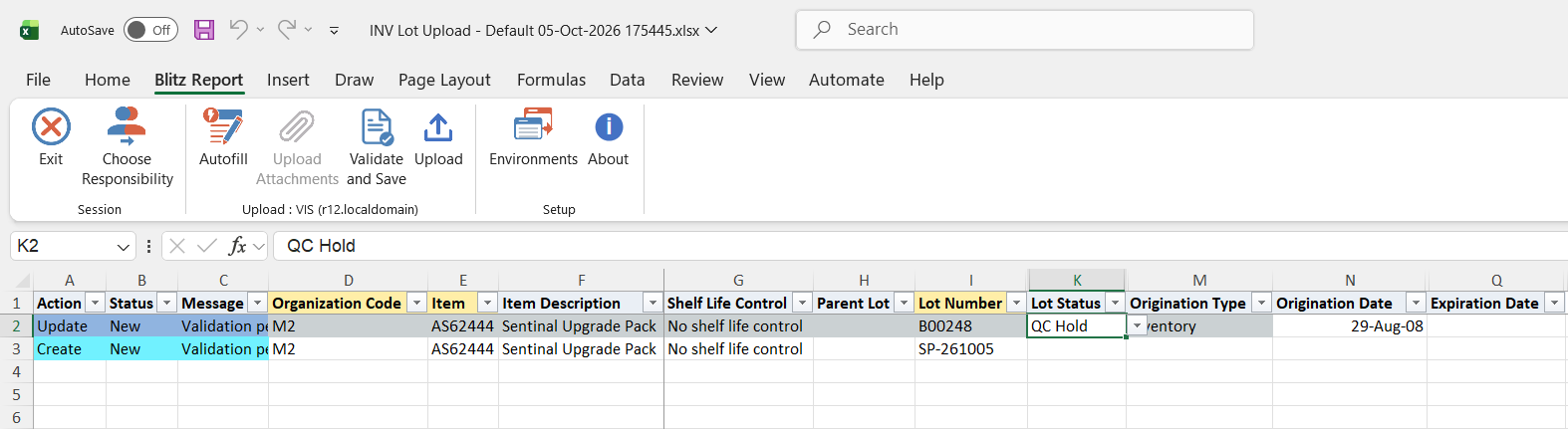 Excel file with the Lot Status of lot B00248 changed to QC Hold, marked Update, and a new lot SP-261005 added, marked Create