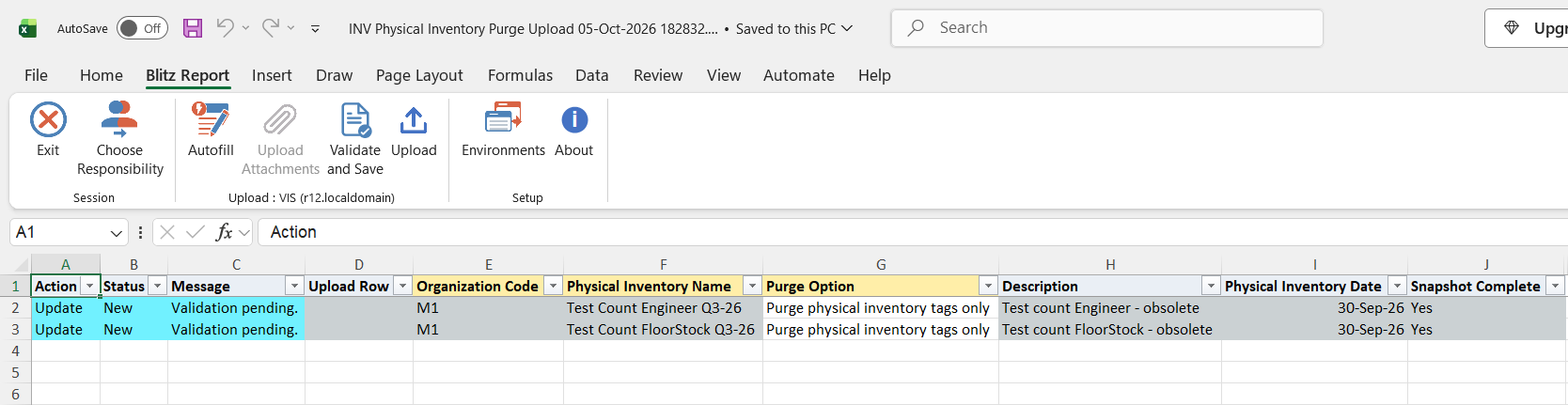 Excel file with two frozen physical inventories of organization M1, both marked Update with Purge Option Purge physical inventory tags only