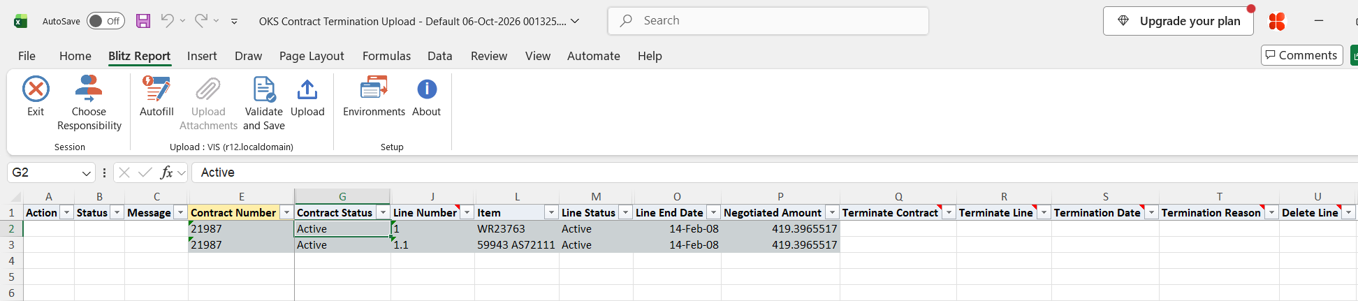 Excel file with service line 1 and subline 1.1 of active service contract 21987