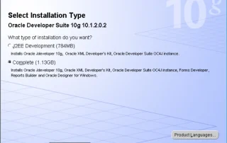 Oracle Universal Installer Select Installation Type screen for Oracle Developer Suite 10g 10.1.2.0.2 with the Complete option selected